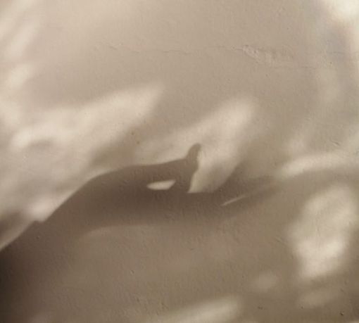 Üzleti pszichológia - Prestige Mentor